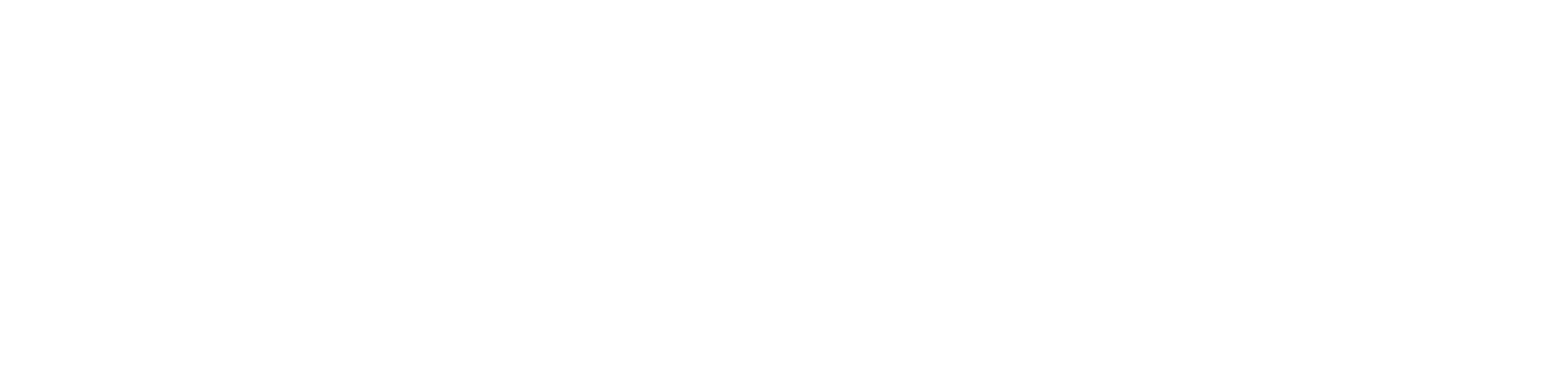NEMLIX WEB